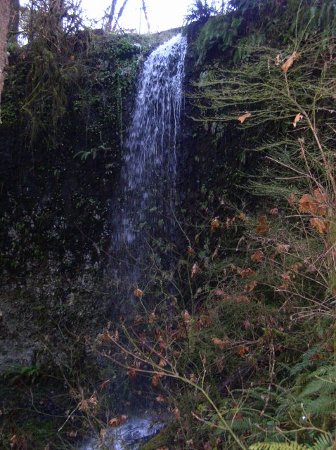 Silver Falls 12.10.05 012 